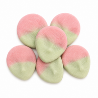 Watermelon Sweet Aliens 70 g Swedish-style candy